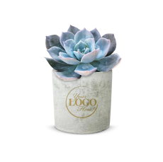 Employee Gifts - Custom Mini Cement Planter