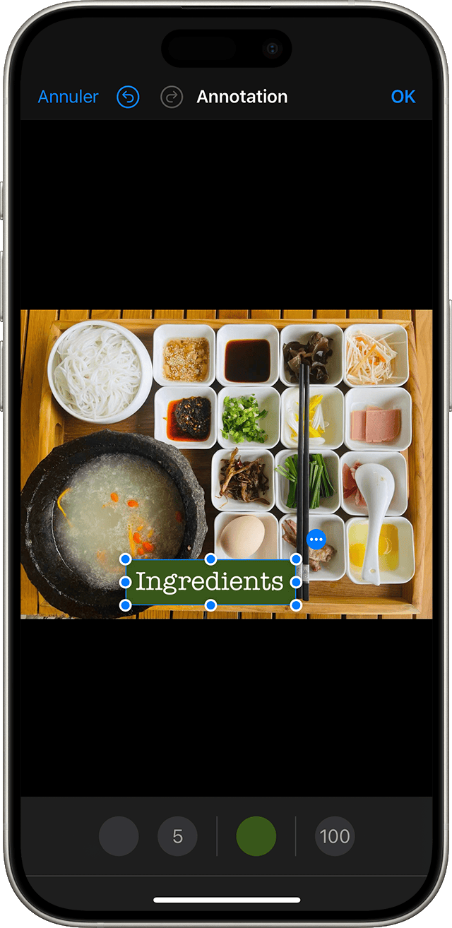 Utilisez Annotation pour ajouter du texte à une image dans Photos.