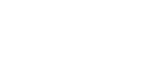 Chubby Cattle