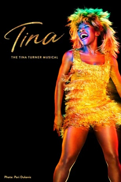 Tina: The Tina Turner Musical (Non-Equity)