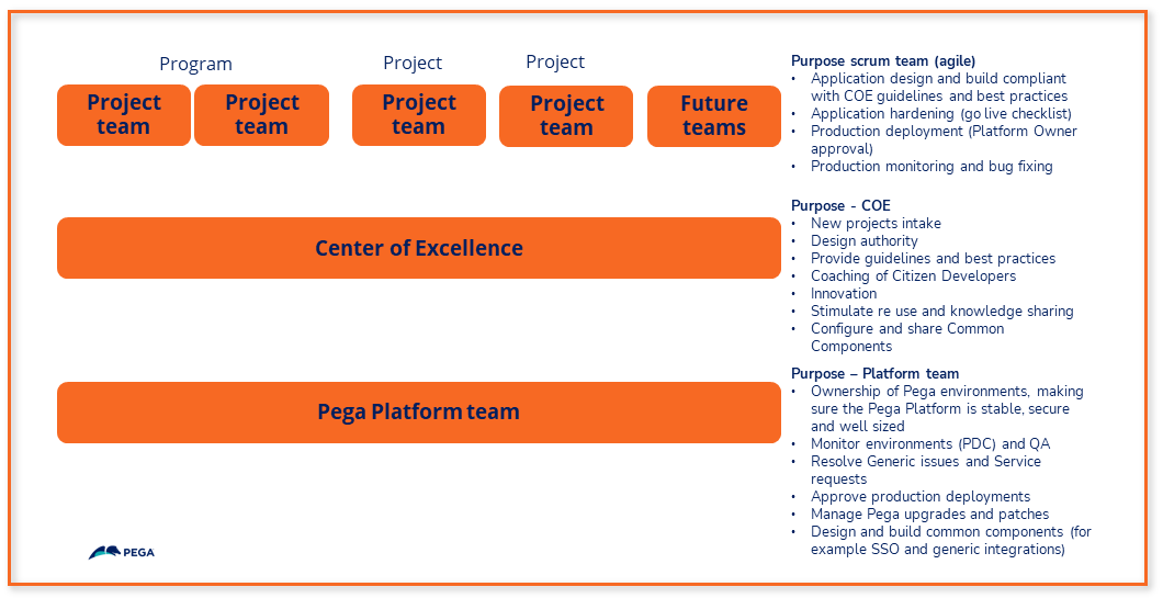 An example of an organization with a COE and a Platform team