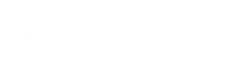 Platinum Solution Partner