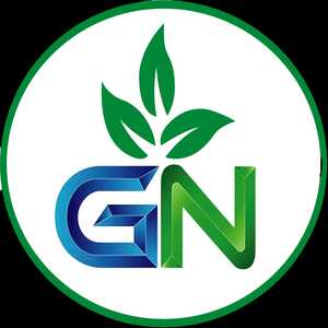 logo of GN FOODS BD