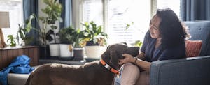 Woman playing with her dog in living room