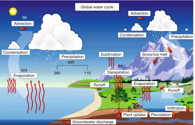 Hydrology