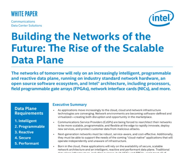 Building the Networks of the Future: The Rise of the Scalable Data Plane