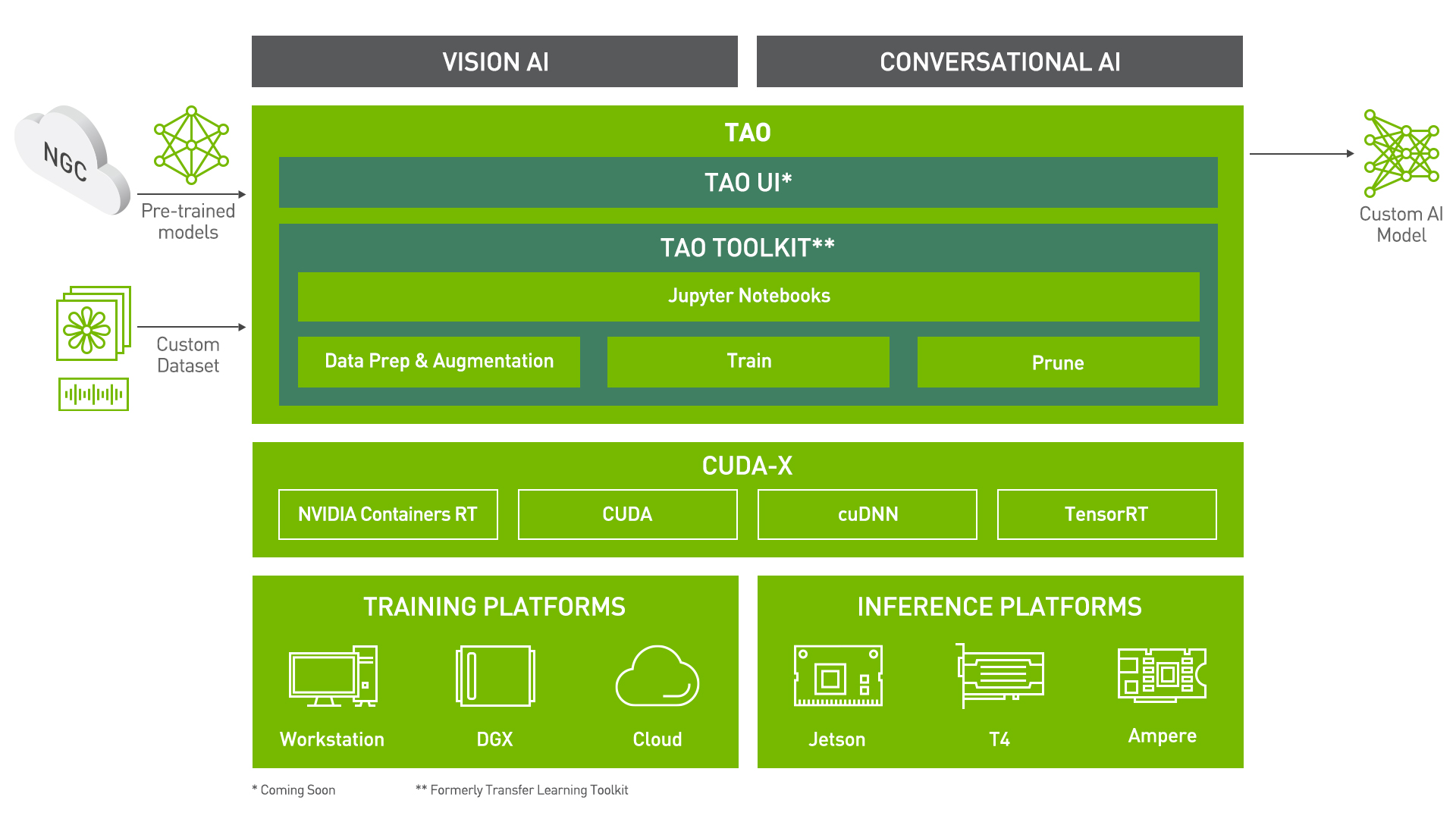 NVIDIA TAO 工具套件