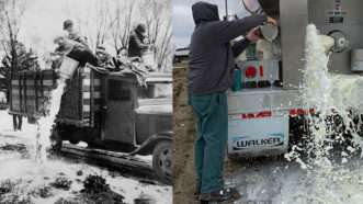 topicsphoto2 | Left: Sueddeutsche Zeitung/Alamy. Right: Golden "E" Dairy Farms