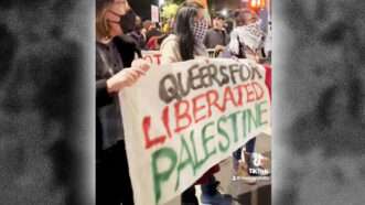 Protesters at a "Queers for Palestine" march in New York City | Screenshot, TikTok