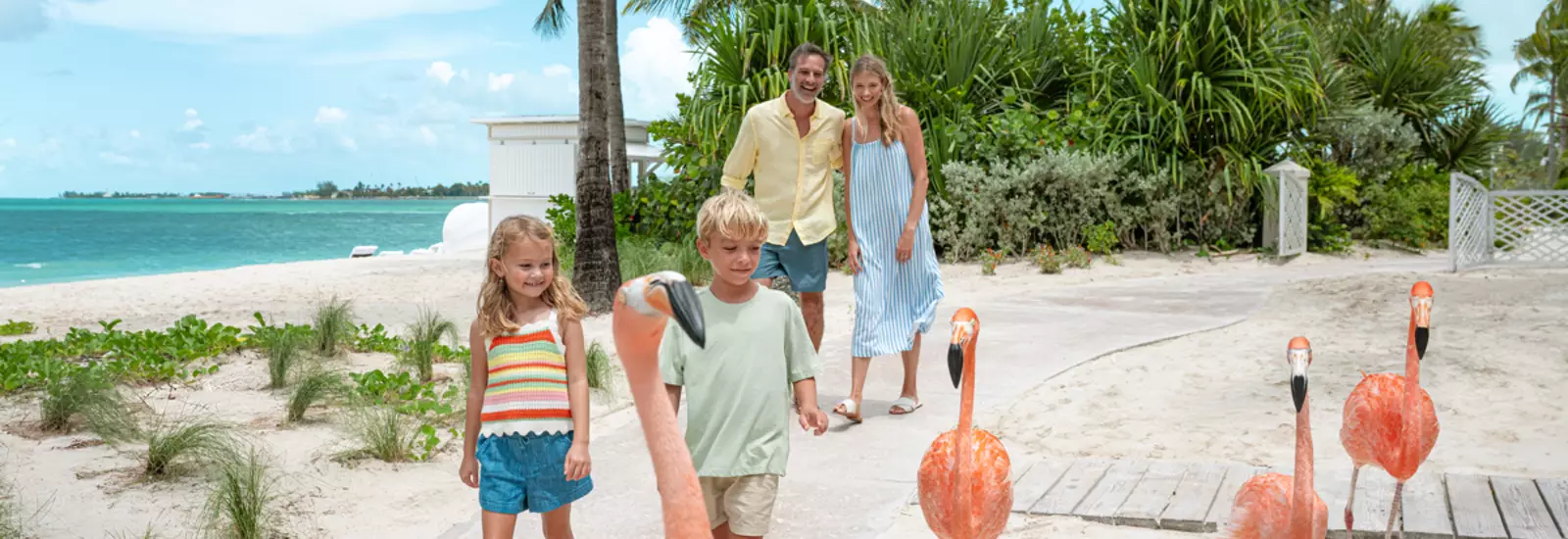 Flamingos at Baha Mar Family vacation