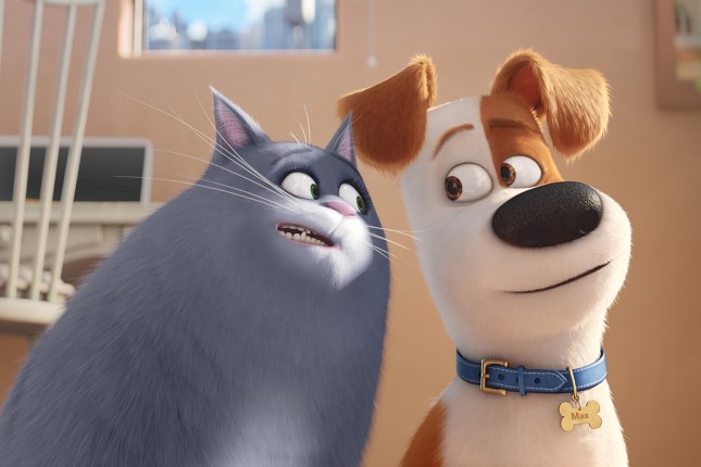 THE SECRET LIFE OF PETS, Chloe (voice: Lake Bell), Max (voice: Louis C.K.), 2016. © Universal