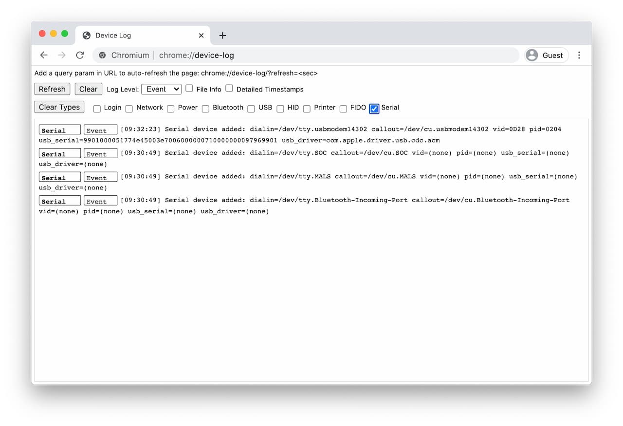 Screenshot halaman internal untuk proses debug Web Serial API.