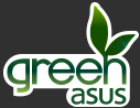 Green ASUS logo