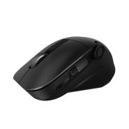 ProArt Mouse MD300