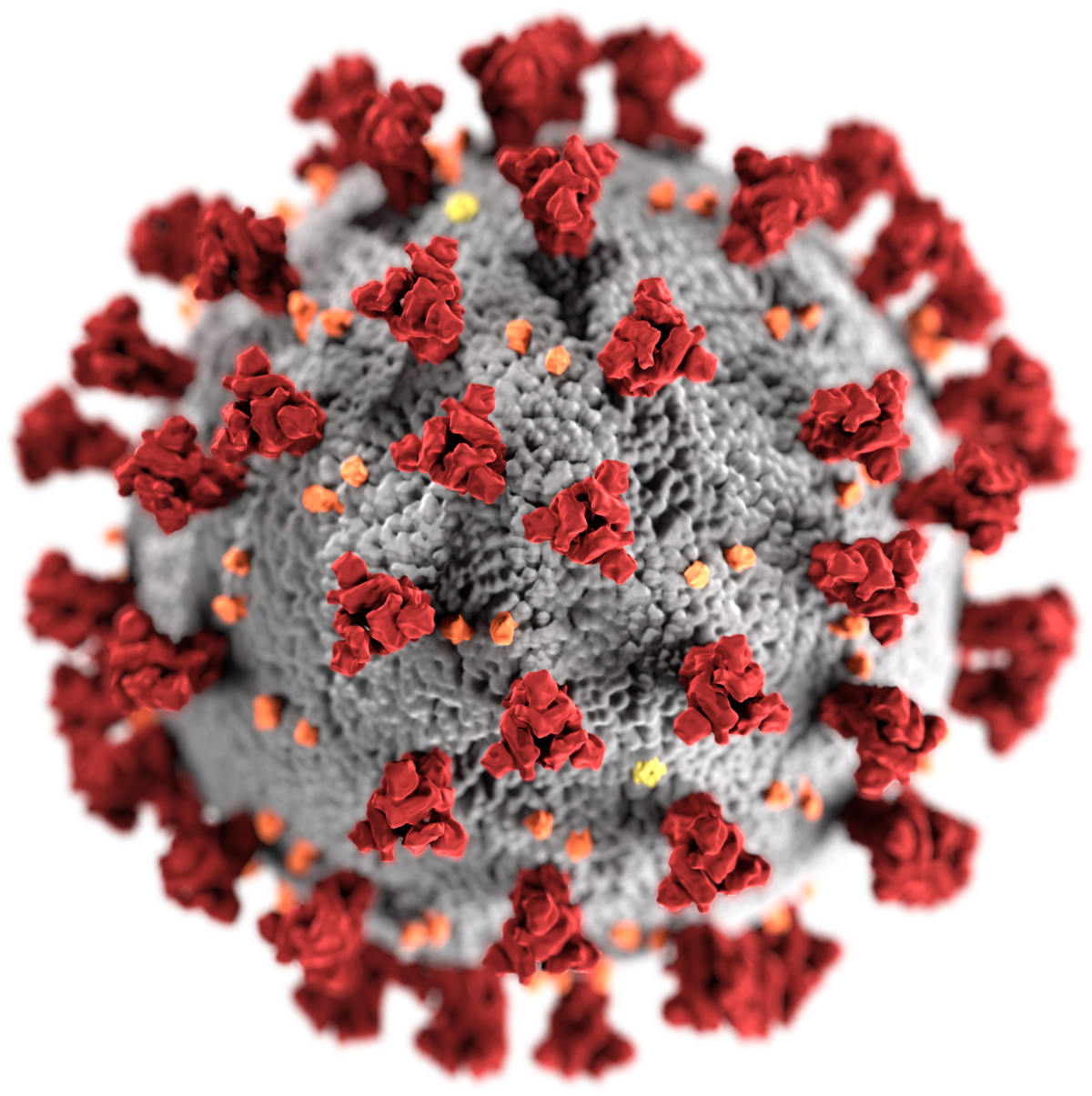 Article : [vidéo] Comment éviter d’être contaminé par la Covid-19 ?