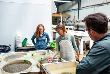 EarthLab’s Washington Ocean Acidification Center helped identify corrosive water as the culprit of recent oyster larvae die-offs, and has provided new tools for shellfish farmers to manage the effect of such conditions on their crop.