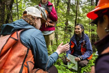 Environmental and Forest Sciences students visit a field site impacted by the Big Hollow wildfire to study how forest ecosystems respond to fire.