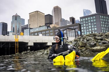 EarthLab’s Washington Ocean Acidification Center helped identify corrosive water as the culprit of recent oyster larvae die-offs, and has provided new tools for shellfish farmers to manage the effect of such conditions on their crop.