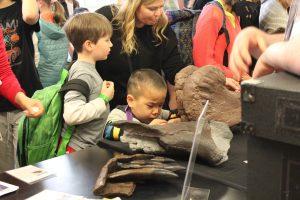 Kids looking at fossils at the Burke Museum table.