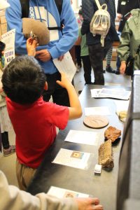 A kid hols a fossil up to their parent or guardian at the Burke Museum table.