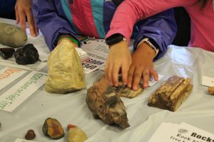 The hands of two kids touching fossils at the Burke Museum table.