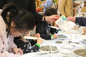 A young person looking through a plate of gravel to pick out small garnets.