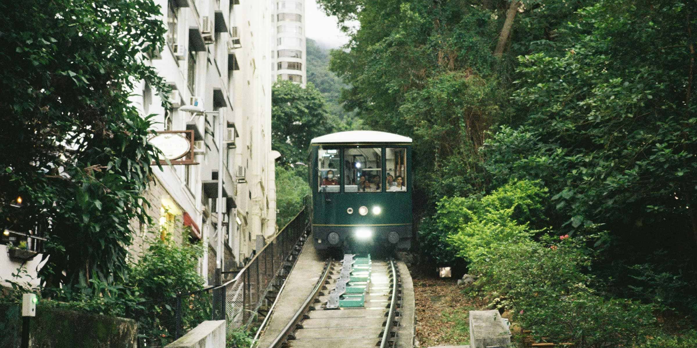 A green trolley on the tracks with tall white buildings on one side and green trees on the other.