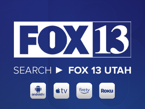 fox13webad.jpg