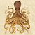 Cephalopod thumbnail