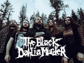 The Black Dahlia Murder image