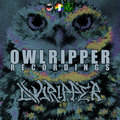 OWLRIPPER RECORDINGS image