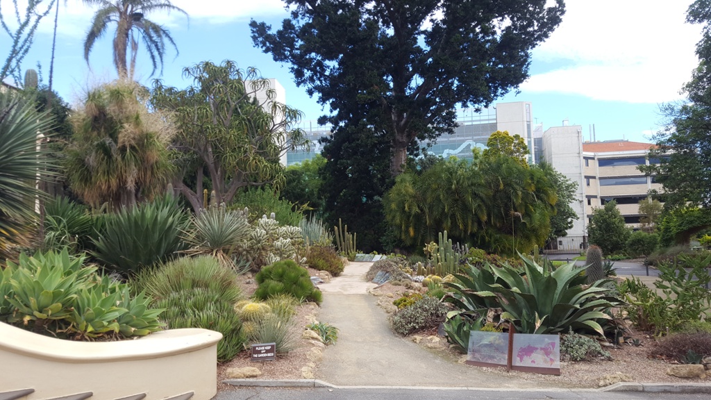 pampa jardin botanique