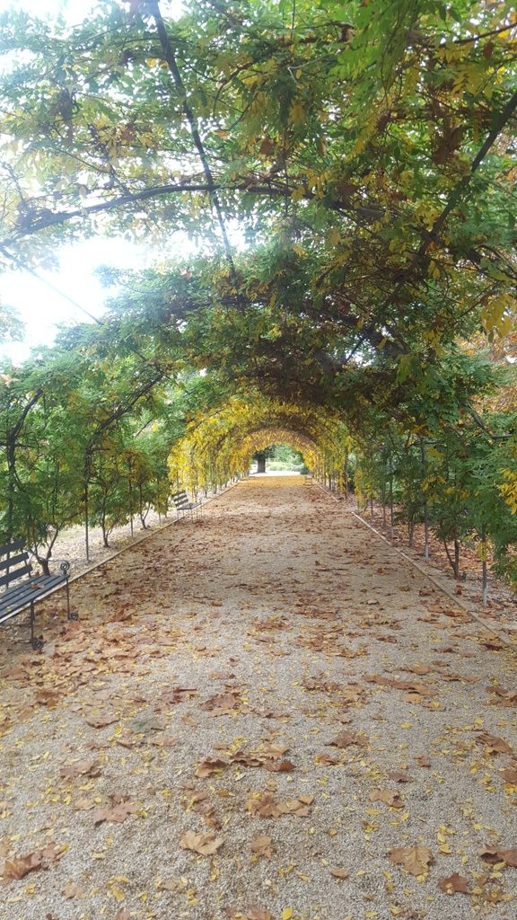 Jardin botanique arche