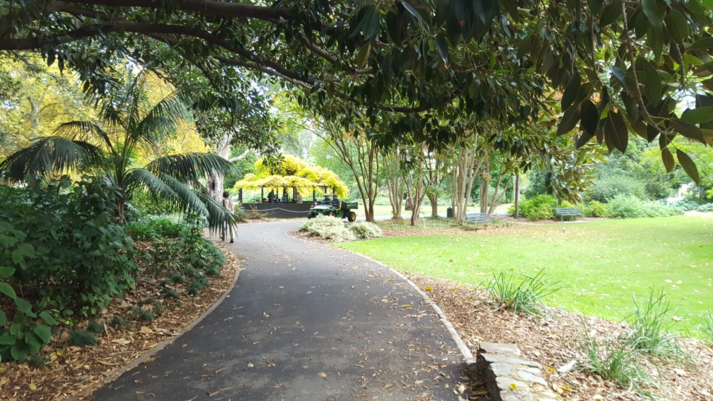 Allées jardin botanique