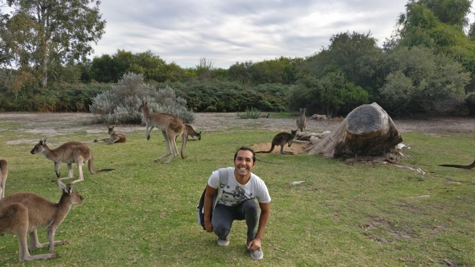 Article : Calme et convivialité au Yanchep National Park