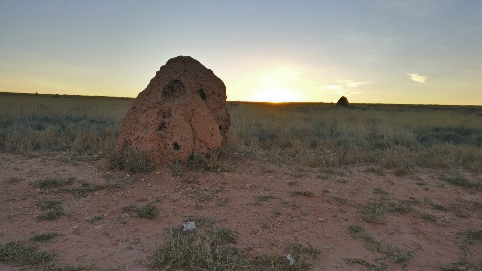 Termitière ouest australien