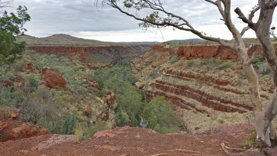 Article : Le parc national de Karijini ou la nature à l’état brut