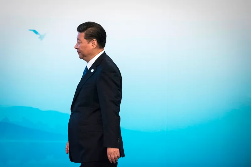 Xi Jinping is seen from the side walking past a blue background with a bird.