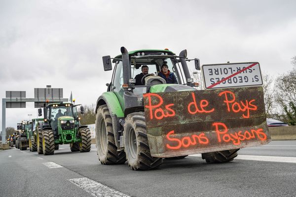 Le 2 janvier 2024, plus de 200 tracteurs d’agriculteurs en colère de la FDSEA 49 remontaient jusqu'à Angers pour manifester leur mécontentement.