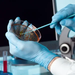 Scientist with a specimen in a petri dish