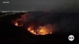 Fires destroy 11 million hectares of Brazil’s plantations, native forests 