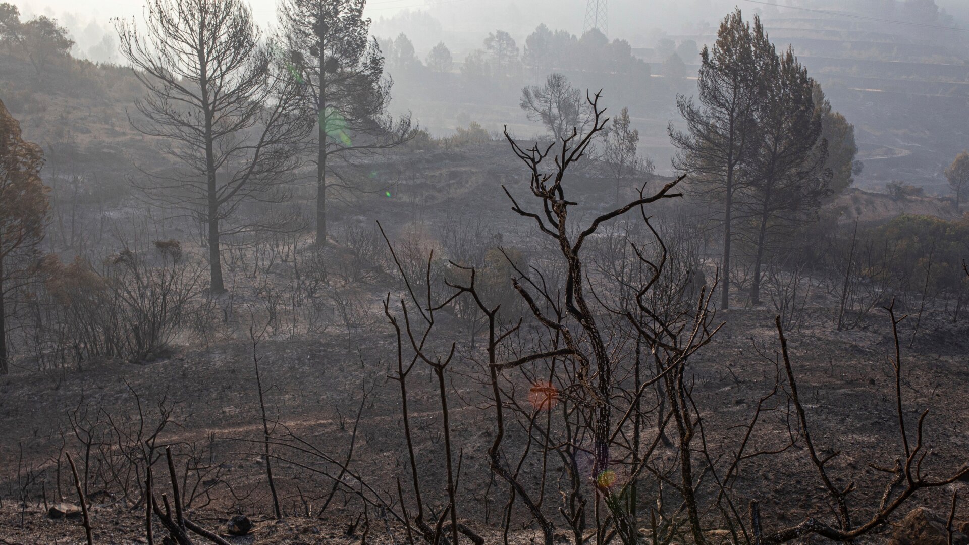 Photo: AP