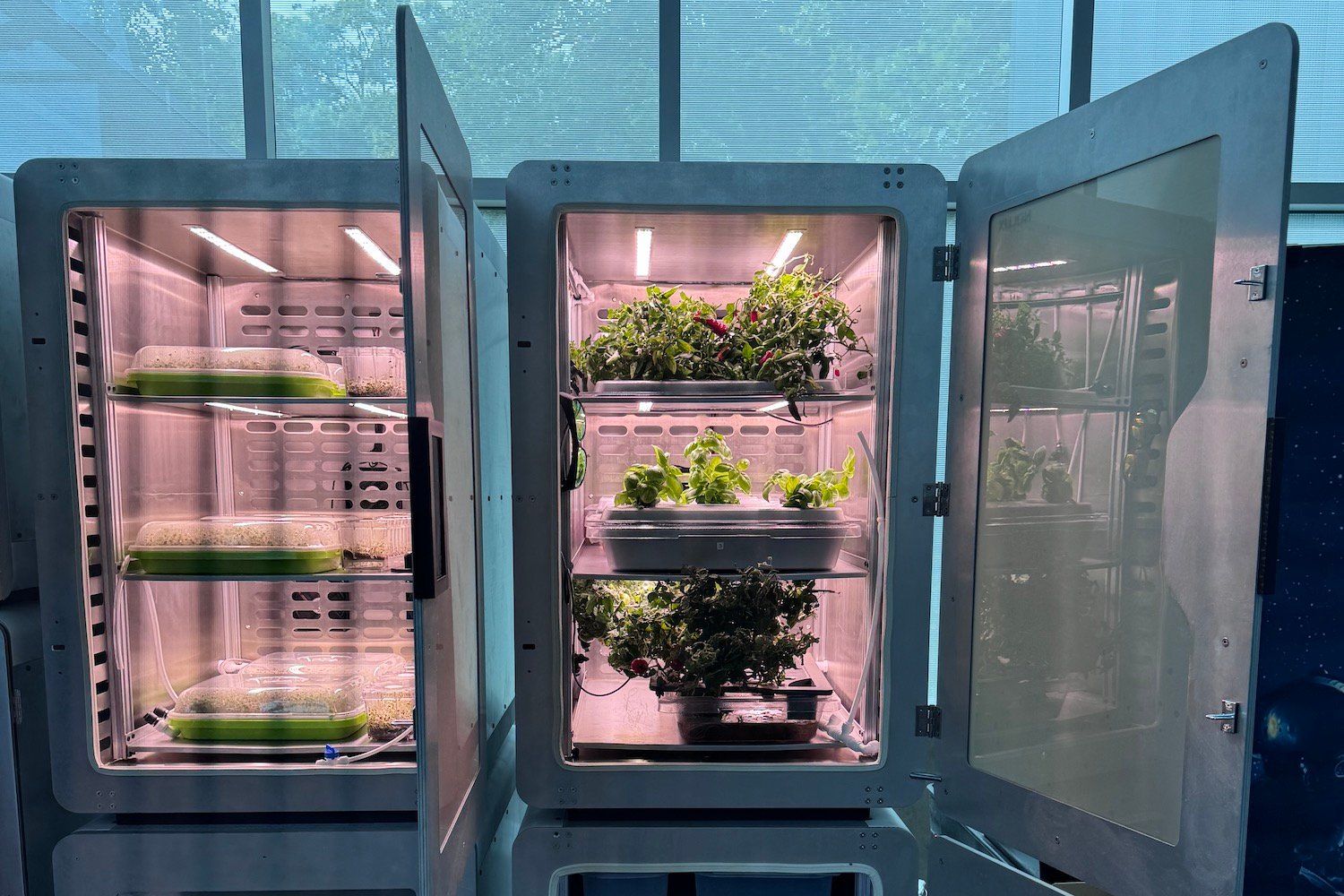 Image of indoor grown electro agriculture plants