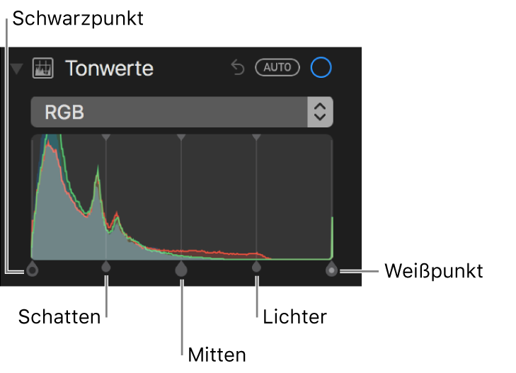 Die Tonwertsteuerungen des RGB-Histogramms, zu denen (von links nach rechts) Schwarzpunkt, Schatten, Mitteltöne, Glanzlichter und Weißpunkt gehören