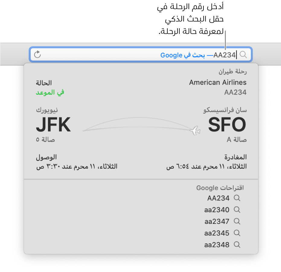 رقم رحلة طيران مكتوبة في حقل البحث الذكي، مع حالة رحلة الطيران معروضة مباشرة بالأسفل.