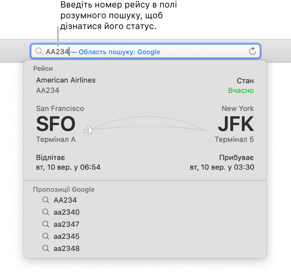 Номер рейсу, введений у поле розумного пошуку, і статус відразу під ним.