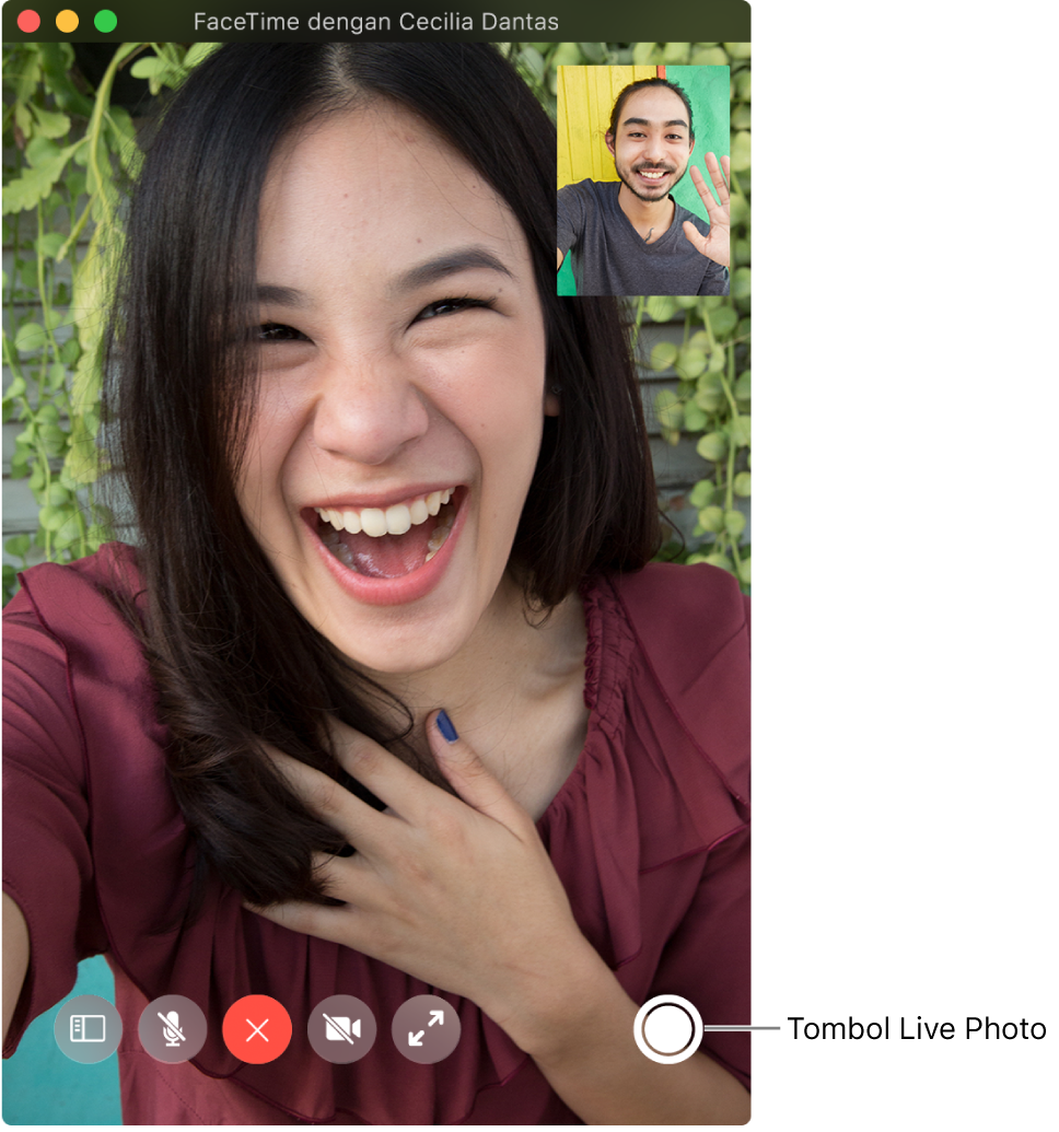 Pindahkan penunjuk ke jendela FaceTime untuk melihat tombol Live Photo.