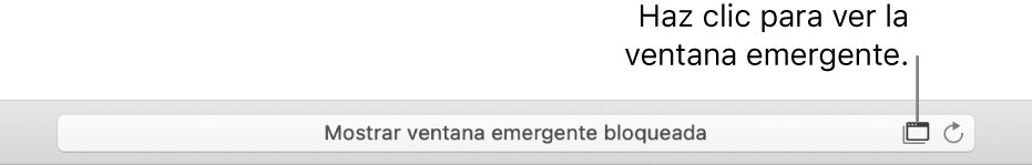 El campo de búsqueda inteligente mostrando un ícono a la derecha para permitir las ventanas emergentes.