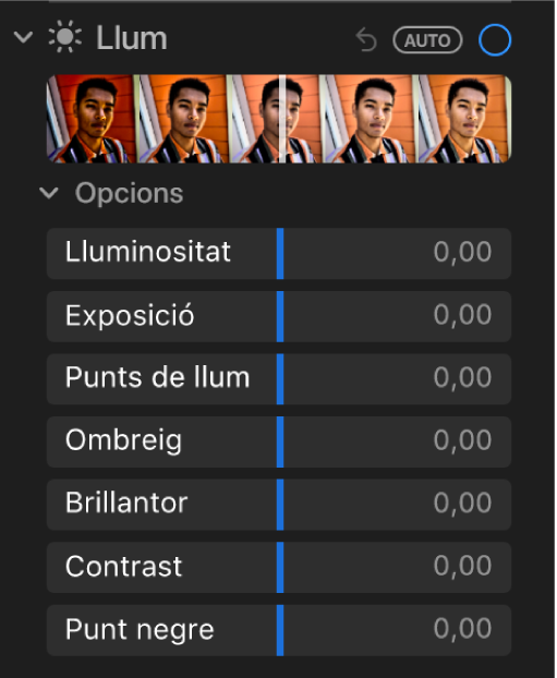 La zona Llum del tauler Ajustar, amb els reguladors Lluminositat, Exposició, Ressaltats, Ombres, Brillantor, Contrast i “Punt negre”.