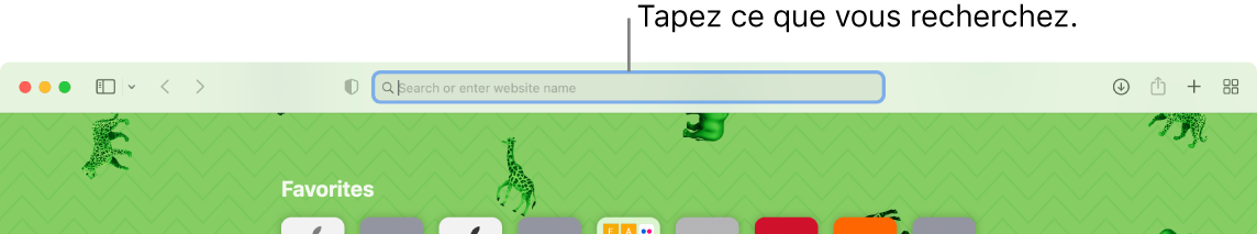 Une fenêtre Safari rognée avec une légende pour le champ de recherche en haut de la fenêtre.